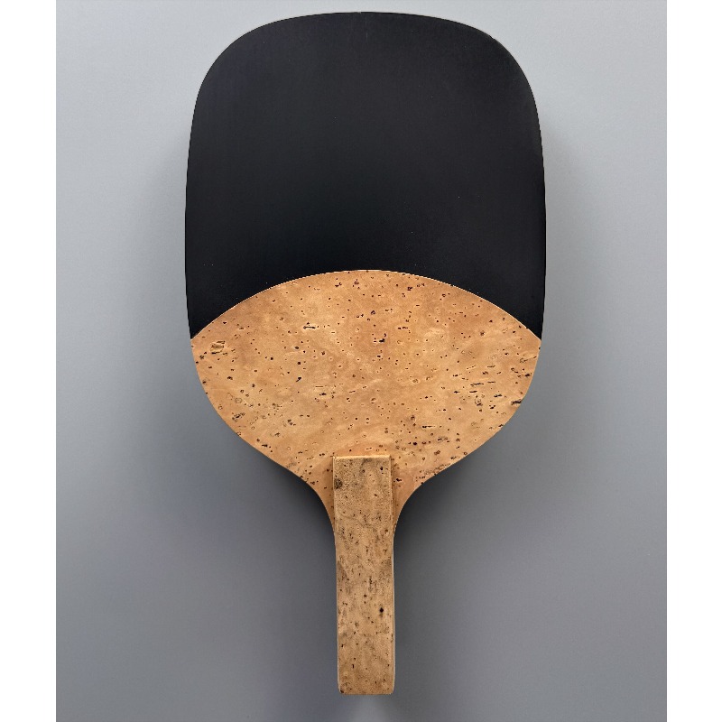 ไม้ปิงปอง Haitian Single Hinok - Table Tennis In Japanese บทวิจารณ์และราคา